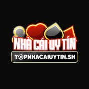 topnhacaiuytinsh profile image
