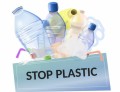 Top Eco-Friendly Products Expected for Evergreen Growth