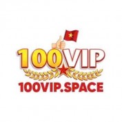 vip100space profile image