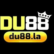 du88latop profile image