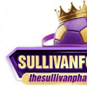 thesullivan profile image