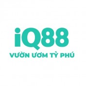 iq88city profile image