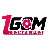 gom66pro1 profile image