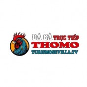 dagatructiepVillaTV profile image