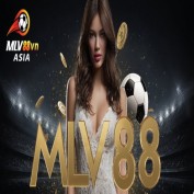 CEOMLV88dangngoc profile image