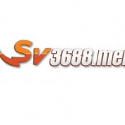 sv3688men profile image