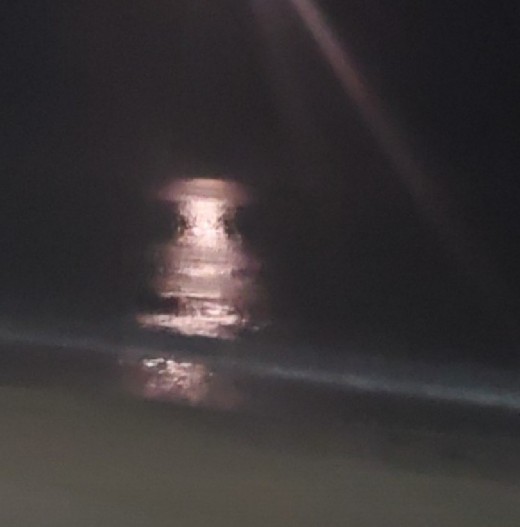 Moonlight on the Pacific. 