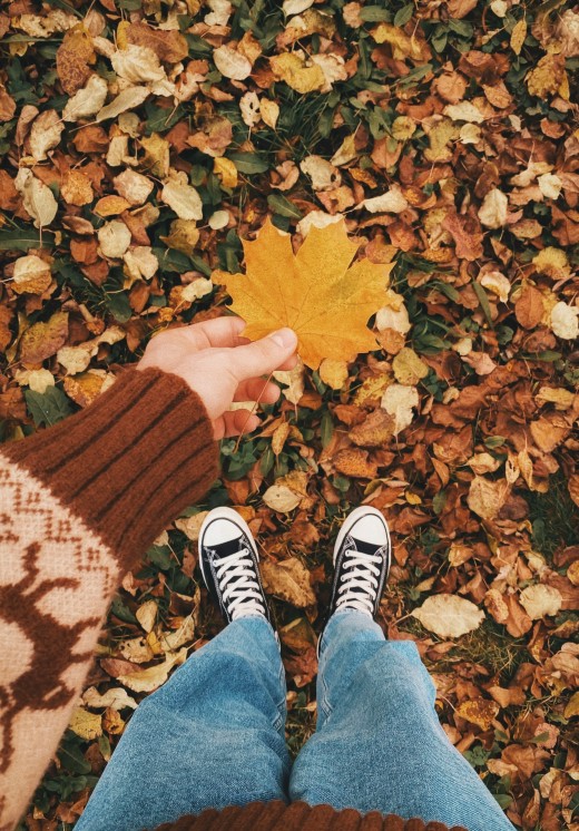 A person holding a leaf in their hand, photo by Eugene Golovesov on Unsplash