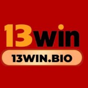 a13winbio profile image