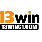 nc13wing1com profile image