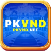 pkvndnet profile image