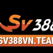 sv388vnteam1 profile image