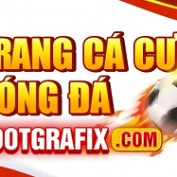 Rootgrafixcom profile image
