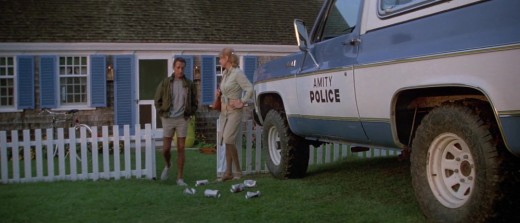 Scheider and Gary lack some of the urgency of their initial performances, giving the impression that they're going through the motions. Still, they're better than most of the cast.