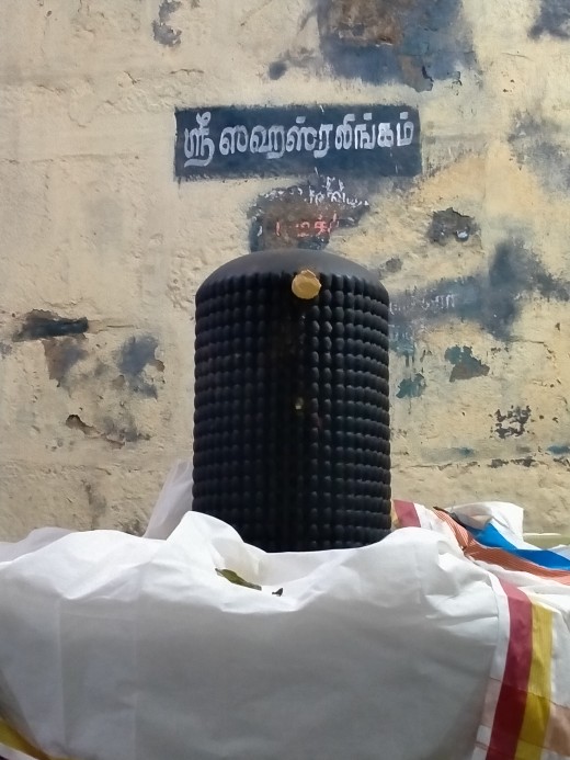 Sahsra Lingam; Adi Kumbheswar temple, Kumbhakonam, Tamil Nadu