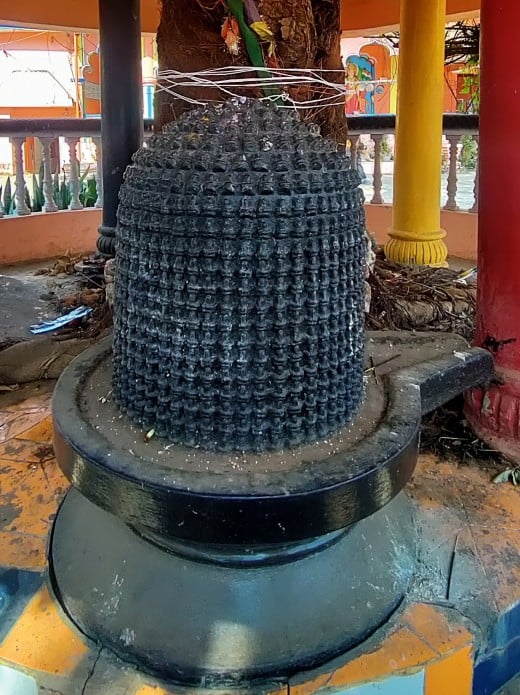 Sahasra Lingam; Batakeswar temple; Shahpura, Dindouri, Madhya Pradesh