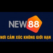 fnew88tin profile image