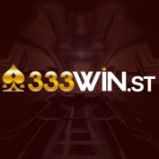 n333winst profile image