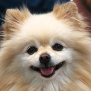 mmundy55 profile image