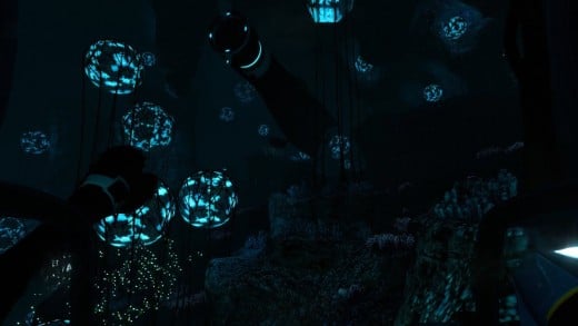 The "Deep Grand Reef" 