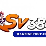 sv388mag profile image