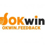 okwinfeedback profile image