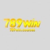 wincourses profile image