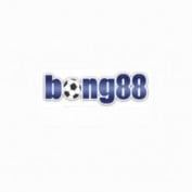 bong88beer profile image