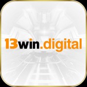 windigital13 profile image