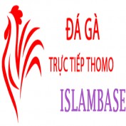 dagaislam profile image