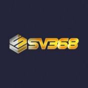 sv368broker profile image