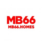 mb66homes profile image