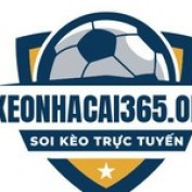 keonhacai365org profile image