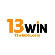 com13winbiz profile image