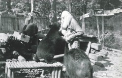 Spikehorn Meyers and His Harrison Michigan Bear Roadside Attraction