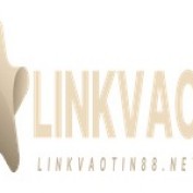 linkvaotin88net profile image
