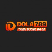 dola789vnspace profile image