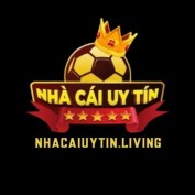nhacaiuytinvipliving profile image