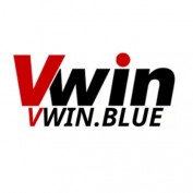 vwinblue1 profile image
