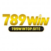 wintopsite profile image