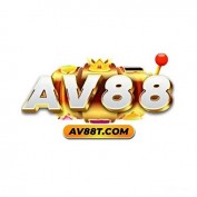 AV88 profile image