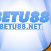 net86bett profile image