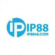 ip8848com profile image