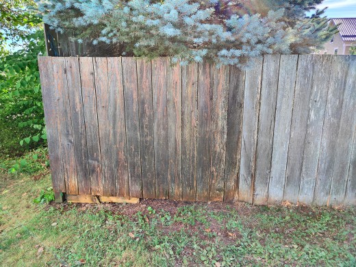 The pressure washer has sprayed a portion of my fence