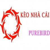 keonhacaipure profile image