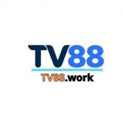 tv88work profile image