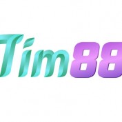 tim88asia profile image