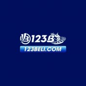 t123belicom profile image