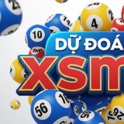 dudoanxsmbzr profile image