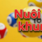 nuoidekhung profile image